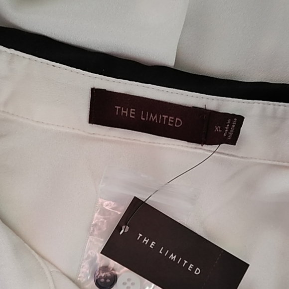 The Limited Women's Sheer Long Sleeve Blouse Chiffon Cream Button Down XL - Picture 5 of 6